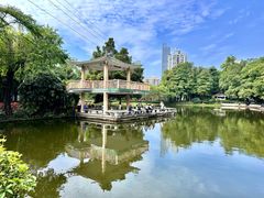 -晓港公园