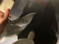 -和颐至尚酒店(上海陆家嘴浦电路地铁站店)