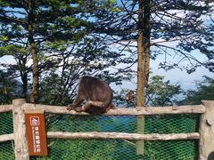 -峨眉山风景名胜区