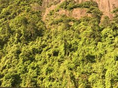 -三清山希尔顿度假酒店