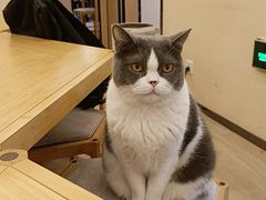 -五观堂素食(新华路店)