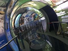 -房山世界地质公园博物馆