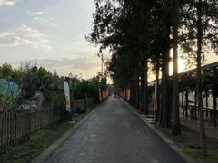 -前小桔亲子创意农场·草莓采摘·露营烧烤