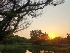 -福田红树林生态公园