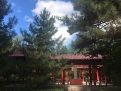-青城公园