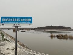 -南大港湿地风景区