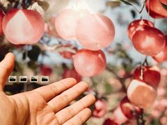 -chi K11艺术空间展览厅