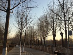 -东升八家郊野公园