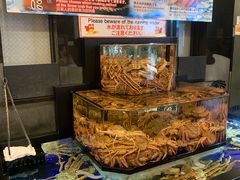 -蟹道乐(道顿堀本店)