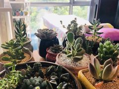 -SAH健身私教工作室(紫东店)