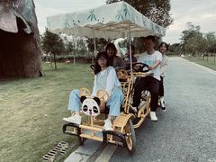 -白鹭湾湿地公园