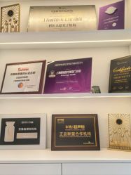 -SKINIST丽铂医疗美容