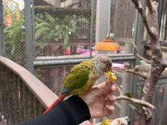 -正佳雨林生态植物园