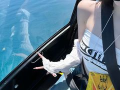 -黄金海岸