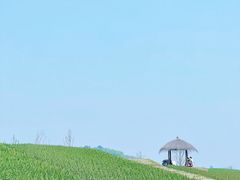 -径山花海