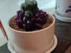 -全牛匠·乐山跷脚牛肉(西北旺万象汇店)