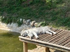 -石家庄市动物园