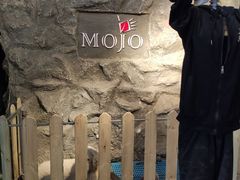 -MOJO密室逃脱(中街旗舰店)