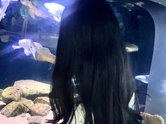 -重庆欢乐海底世界