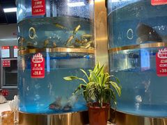 -蜀滋香鲜鱼美蛙火锅(339店)