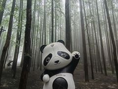 -山王坪喀斯特国家生态公园