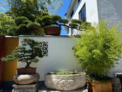 -龙华素斋(龙华路店)