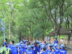 -夏山营地教育