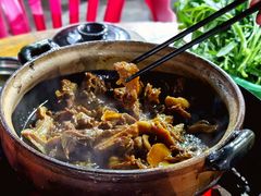 -霞姐屯昌枫木香草鸭店(海螺店)