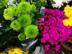 -沪花拾者(好再来花卉鲜花店)