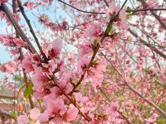 -东山湖温泉度假村