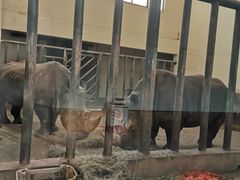 -石家庄市动物园