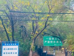 -大岭沟猕猴桃谷风景区