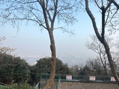 -大蜀山国家森林公园