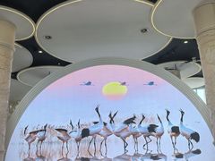 -盐城丹顶鹤湿地生态旅游区