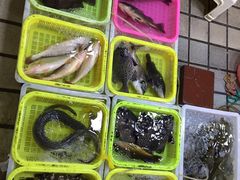 -老字号蛇口德记烧腊饭店·海鲜加工