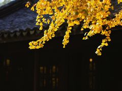 -惠山古镇·寄畅园