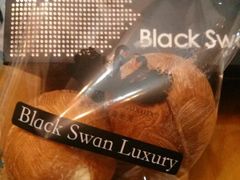 天鹅蛋-BLACKSWAN黑天鹅(环球店)