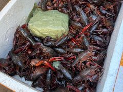 -小田油焖小龙虾(双井店)