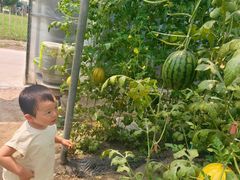 -兴芮温泉度假区