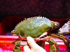 -巽寮印象美食部落餐厅·海鲜·地方特色菜(惠州体验店)