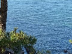-滨千鸟之汤 海舟