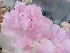 -螺世纪螺蛳粉·桂味小排档(裕德店)