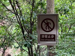 -九龙潭景区