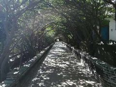 -烟台山景区