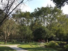 -望江楼公园