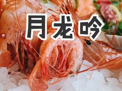 -月龍吟(朝龙汇店)