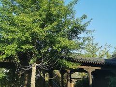 -雅达·阳羡溪山小镇中心