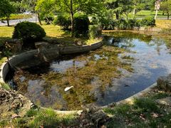 -河南省黄河迎宾馆