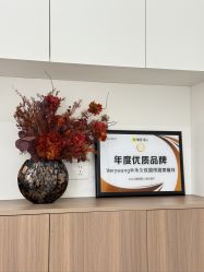 -Verywang半永久纹眉•仪器野生眉