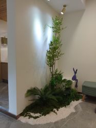 -FUMEIHUI·科技美肤·美体SPA